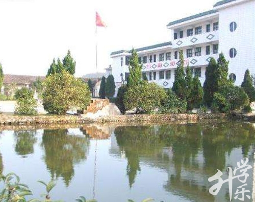 桂東衛生學校