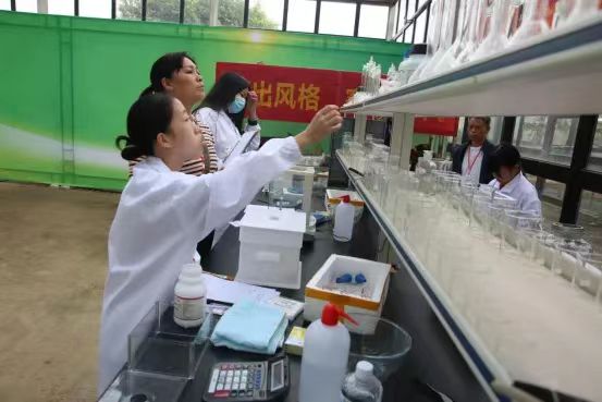 實訓實習