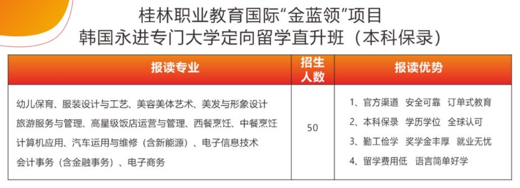 國際留學(xué)招生計劃